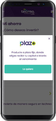 Plazo uno